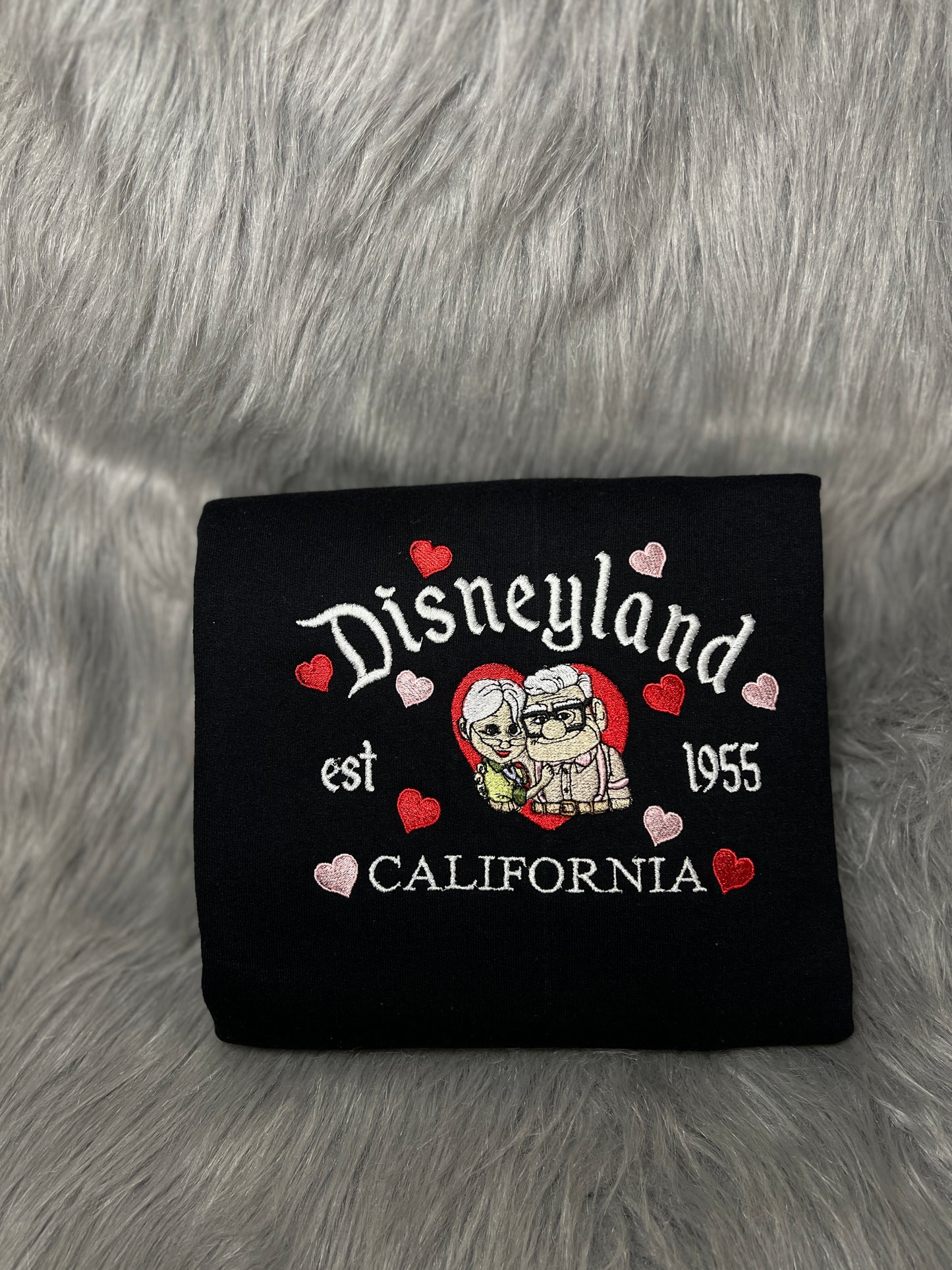 Disneyland/ Carl and Ellie