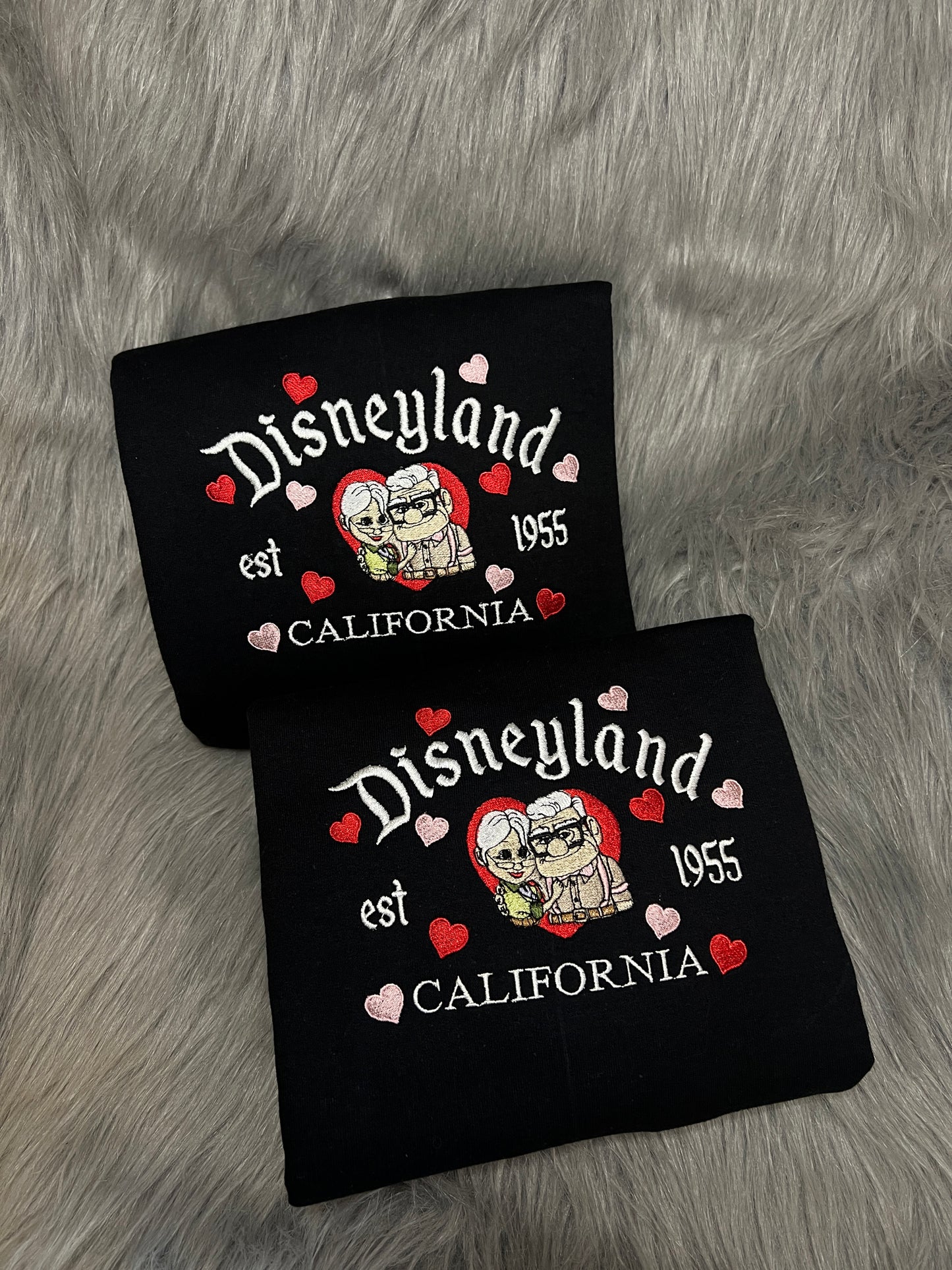 Disneyland/ Carl and Ellie